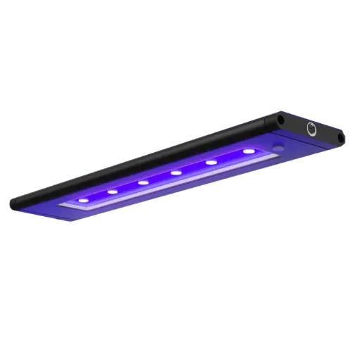 AI Blade GLOW