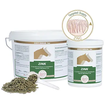 EQUIPUR - Zink