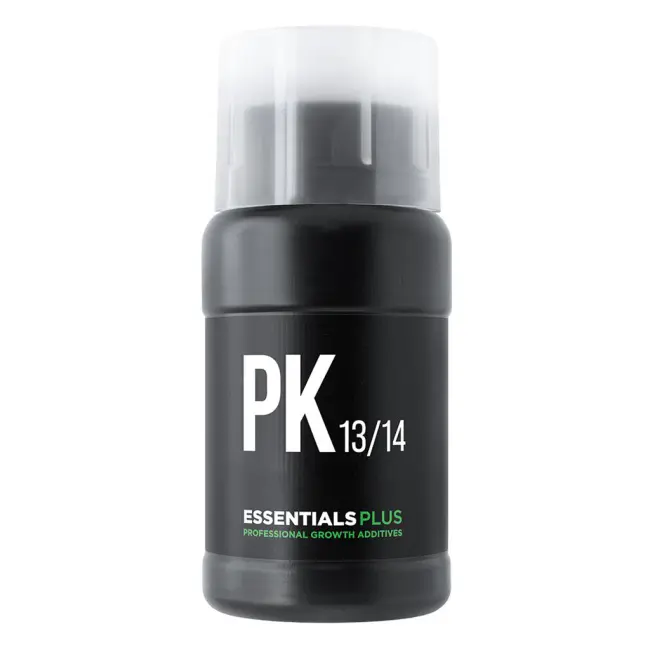 Essentials PLUS PK13/14