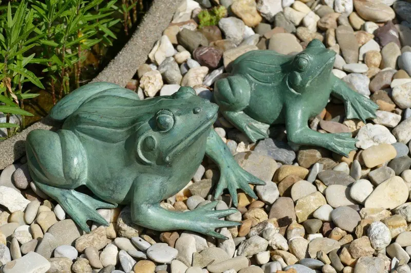 Froschpärchen