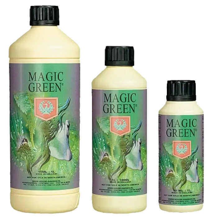House & Garden Magic Green