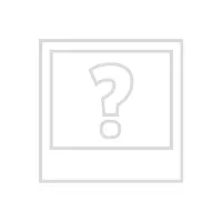 Kärcher Dichtung Auspuff
