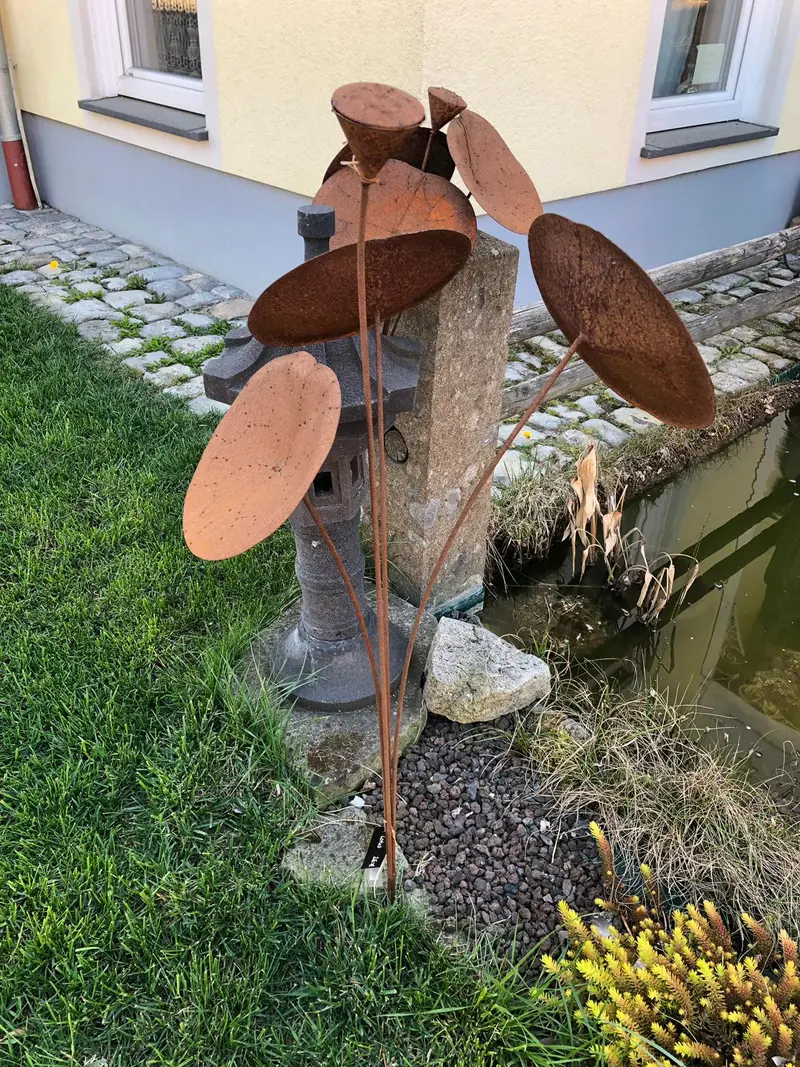 Lotus