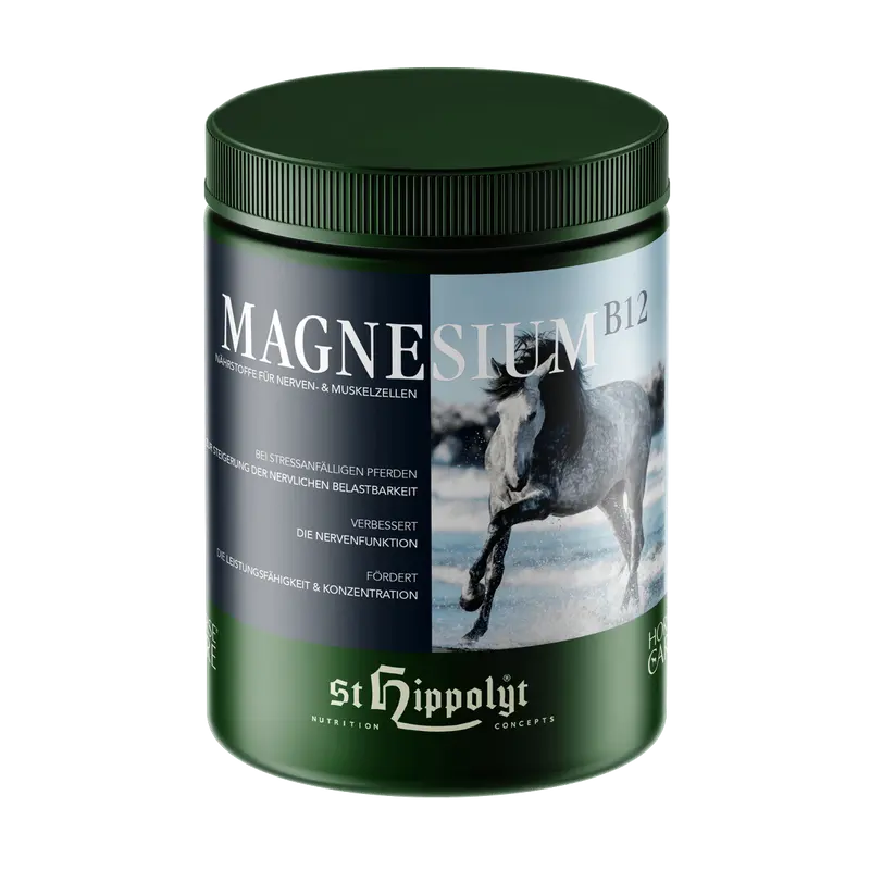 Magnesium B 12
