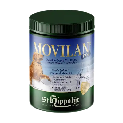 Movilan Dog
