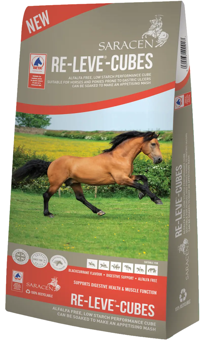 Re-Leve-Cubes 20kg